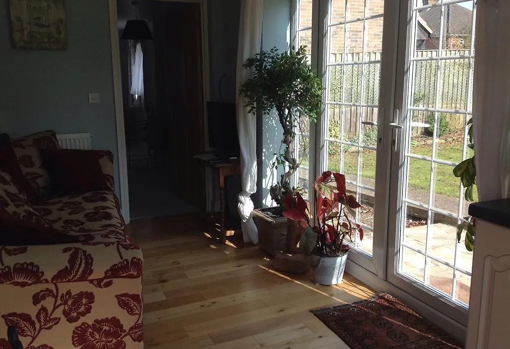 The Summer Room-1